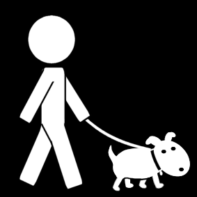 walk the dog
